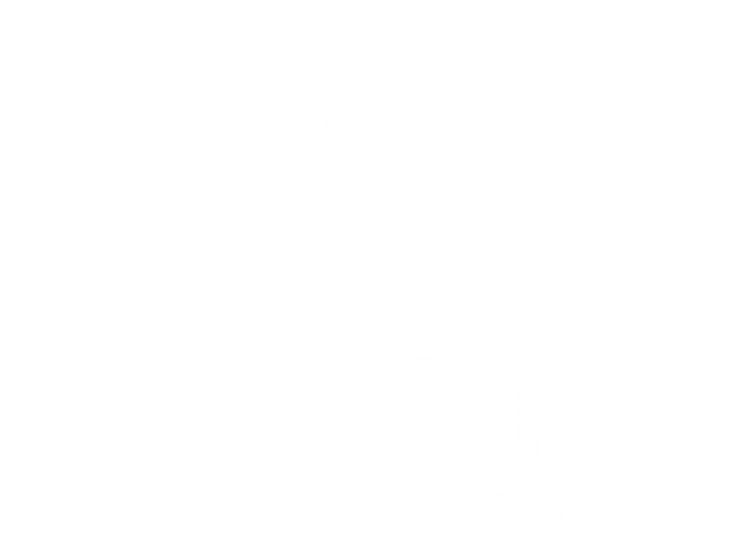 Brightline-Group-Logo - White